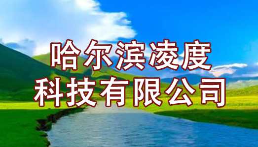 成都网站建设